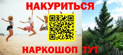 индика Малгобек