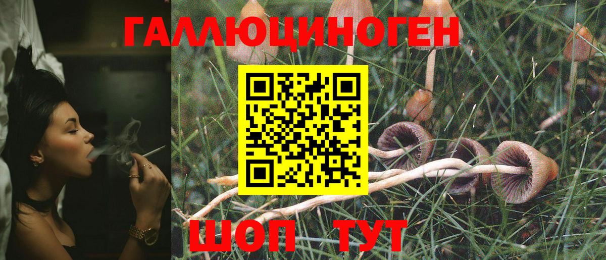 Галлюциногенные грибы Psilocybe Чусовой