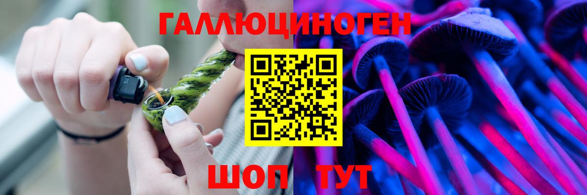 Галлюциногенные грибы Psilocybine cubensis  Вход с VPN  Чусовой 